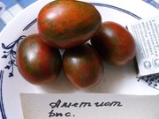 Продам семена томатов  от 03.12.14